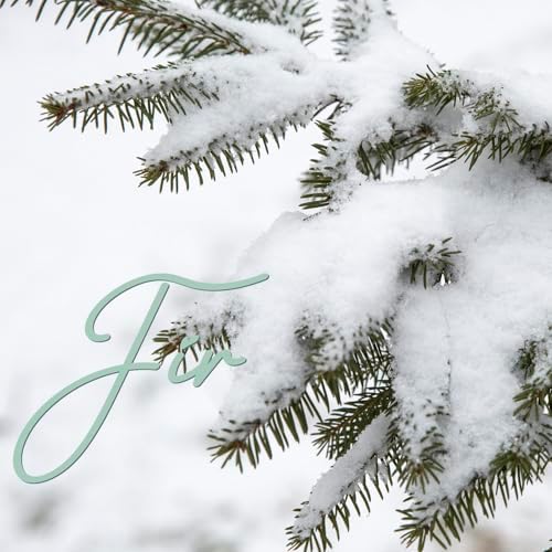 Room Spray, Fir Breeze, 4 fl oz, Air Freshener for Home, Bathroom