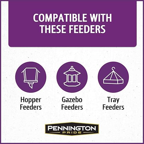 Pennington Songbird Nut & Fruit Blend Wild Bird Seed for Outside Feeders