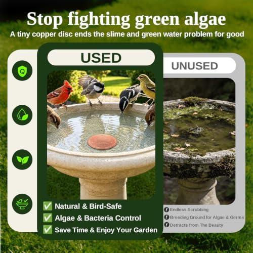 Copper Disc for Bird Bath, 99.9% Pure Copper (Two Birds)