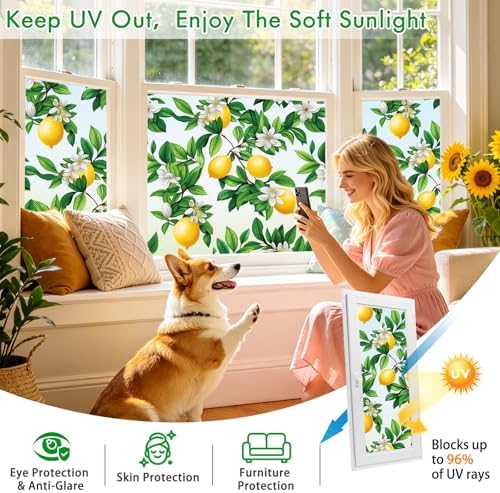 SOMWISE Frosted Window Privacy Film, Decorative Sun Heat Blocking, Anti UV