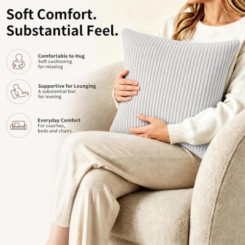 2 Pack 18 x 18 Decorative Throw Pillows with Insert Included