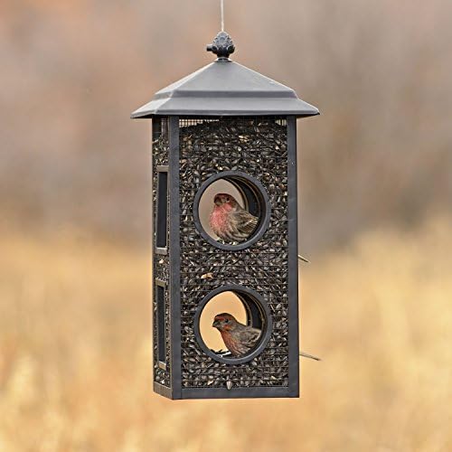 Perky-Pet Fly-Thru Wild Bird Feeder, 2 lb Seed Capacity (Pack of 2)