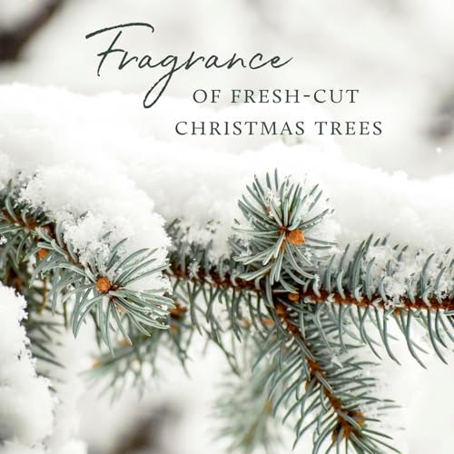 Thymes Frasier Fir Reed Diffuser Set – Includes Reeds, Fragrance Oil, and Frosted Glass Bottle – Fragrance Oil Diffuser – Room Fresheners – Luxury Home Decor – Gold (Gilded, 4 fl oz)