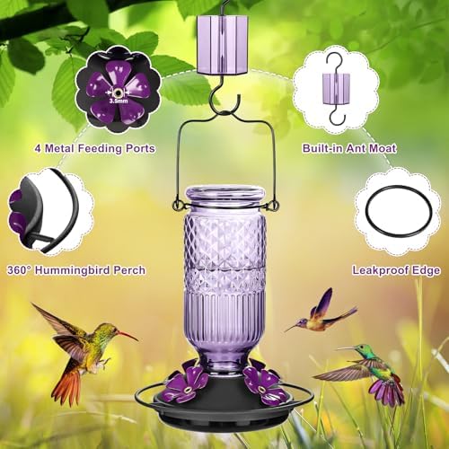 FEED GARDEN Glass Hummingbird Feeder for Outdoors Hanging, 16 oz Leak-Proof Nectar Feeder with Bee Guards & Ant Moat, 4 Metal Flower Feeding Ports, 360° Perch Ring, Easy Refill & Clean, Purple 2 Pack