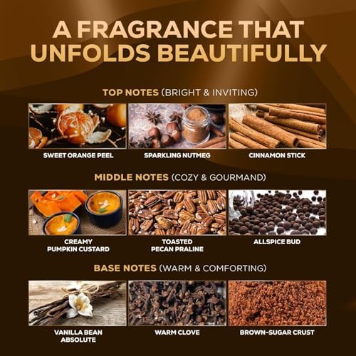 Aroma Country Pumpkin Spice Luxury Diffuser Oil Refill (4 Fl Oz)