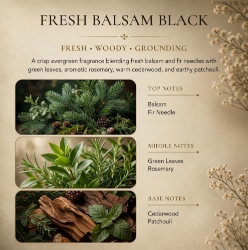 Black Reed Diffuser Sticks in Oil Set with Fresh Balsam Scent | Long-Lasting Reed Diffusers for Home, Office & Bedroom Decor Fragrance Diffuser | Green Dried Flowers | (5 oz)