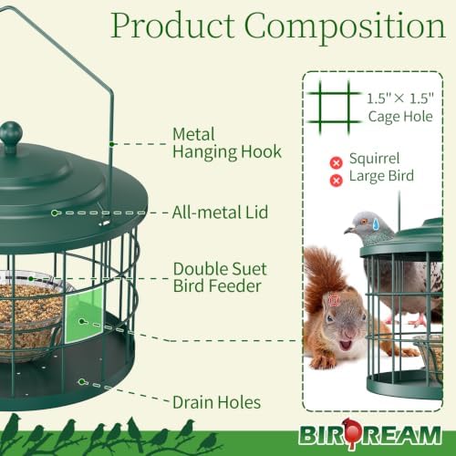 Birdream Metal Cage Bird Feeder for Outdoors Hanging with Glass Bowl, Green