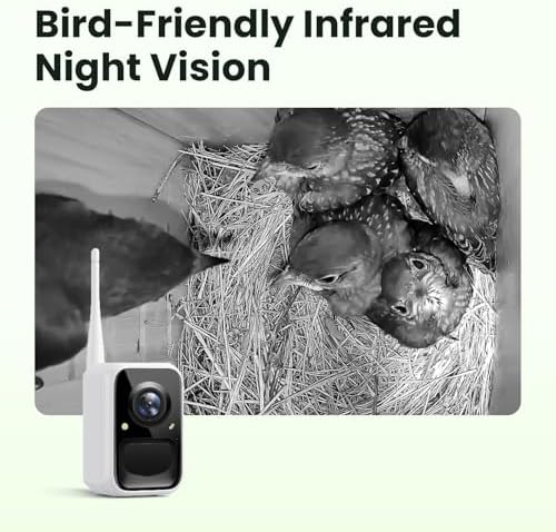 Birdfy Smart Bird House with Camera Solar Powered, 1080HD Live Video & Night Vision for 24/7 Nesting Recording, Auto Detect & Notify, Ideal Nature Gift for Bird Lovers, AI Identify Lifetime Free