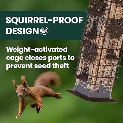 Perky-Pet Squirrel-Be-Gone Bird Feeder, 2 lb Seed Capacity