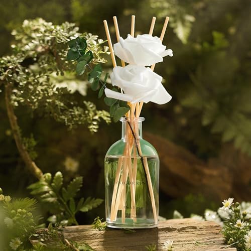COCORRÍNA Reed Diffuser Black Forest 6.76 fl oz Home Bathroom Fragrance