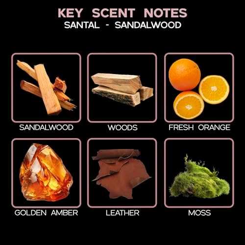 Reed Diffuser Set, Santal (Sandalwood) Scented Oil Diffuser with Sticks, Home Fragrance Accessories for Bathroom Shelf Decor, Aroma Diffusers for Home or Office Fall Decor, USA Made