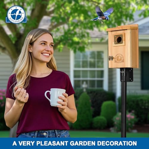 SISTERBIRD Bird Houses for Outside, Warming Gifts Birdhouses for Outdoors