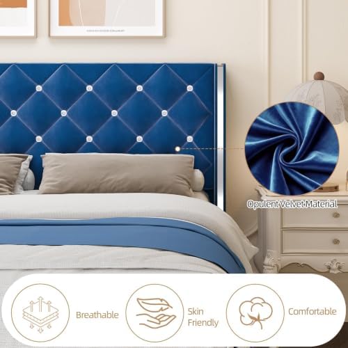 HOMBCK King Bed Frame with Velvet Headboard, Silverside Wingback, Blue