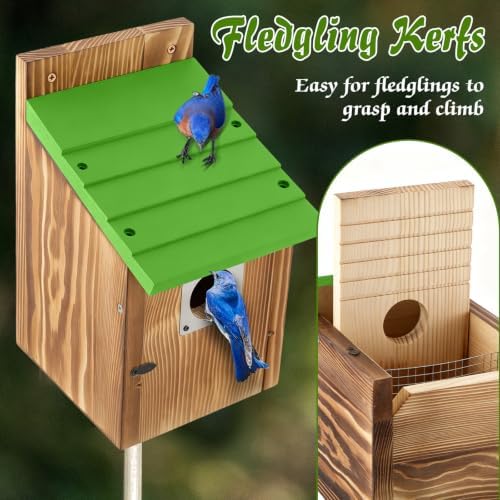 Dreyoo 4 Pack Bluebird Houses for Outside with Metal Predator Guard, 1-1/2" Entrance Hole Wooden Blue Bird Houses for Outdoors, Bluebird Nesting Box (Green Roof, Burnt Wood Body)