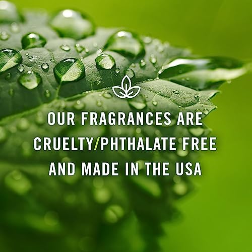 P&J Trading - Sand Scented Oil 30ml - Fragrance Oil for Candle Making, Soap Making, Diffuser Oil