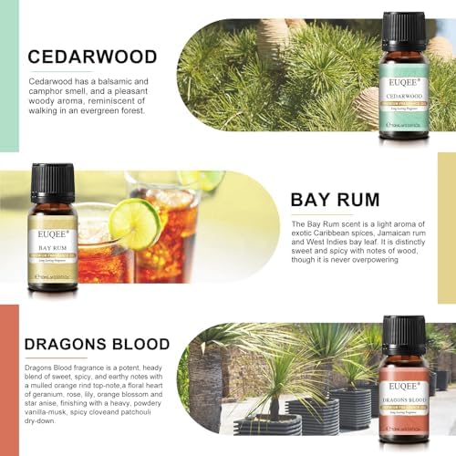 EUQEE 6PCS Men's Pubs Gift Set Premium Fragrance Oils for Men