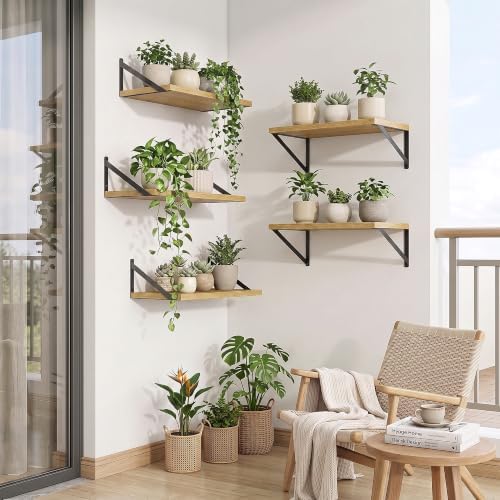 Axeman Deep Floating Shelves, 18'' x 10'' Oak Wall Shelves Set of 2
