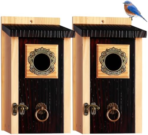 SISTERBIRD 2 Pack Bluebird Houses for Outside, Blue Bird House Warming Gift