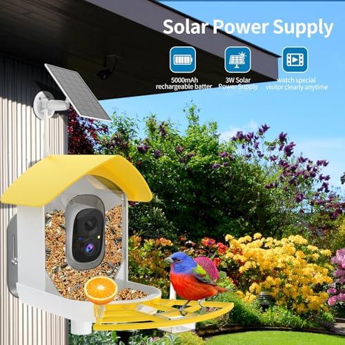 Bird Feeder with Camera,WiFi Smart Bird House with Cam Solar Powered