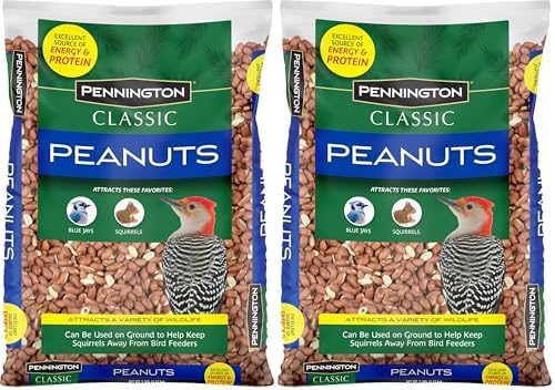 Pennington Classic Shelled Peanuts 5 pounds (Pack of 2)