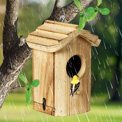 Mini Wooden Birdhouse with Removable Bottom