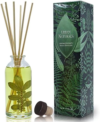 Urban Naturals Reed Diffuser Set, Eucalyptus Sage - Bathroom Shelf Décor