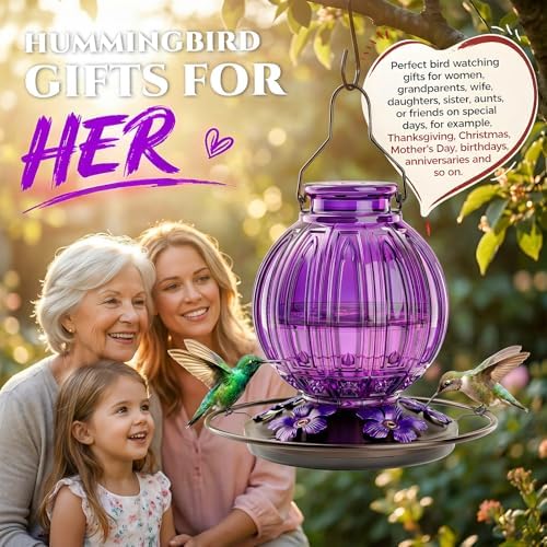 Glass Hummingbird Feeder for Outdoors Hanging, 26 fl oz Bird Nectar Feeder