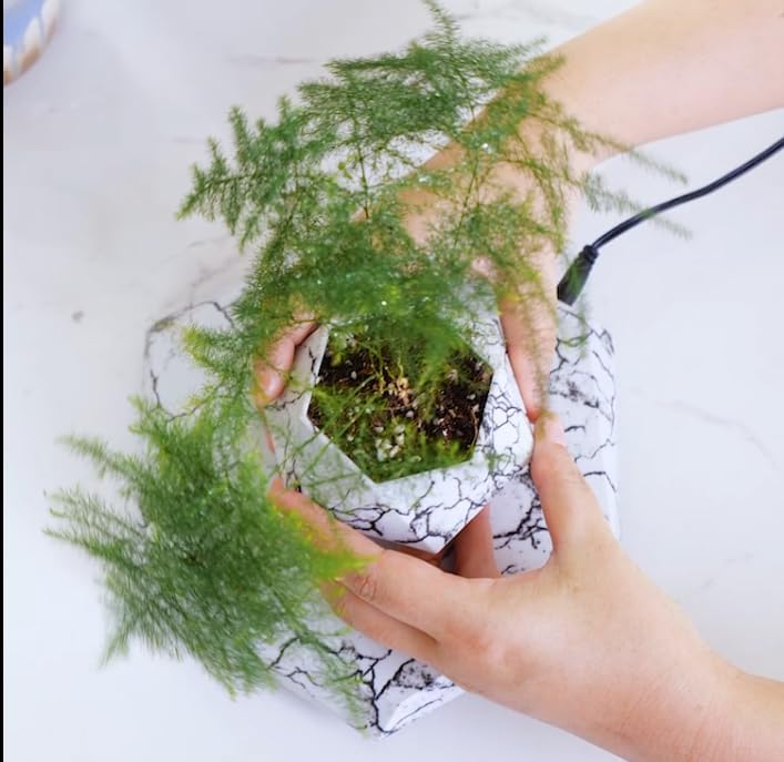 MOOCCI Floating Plant Pot, Levitating Plant Pot for Succulents