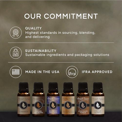 Eternal Essence Oils Beach Set of 6 Premium Fragrance Oils - Includes White Sand, Ocean Breeze, Honolulu Sun, Mermaid, Caribbean Escape, and Sun & Sand Scented Oils - 10ML