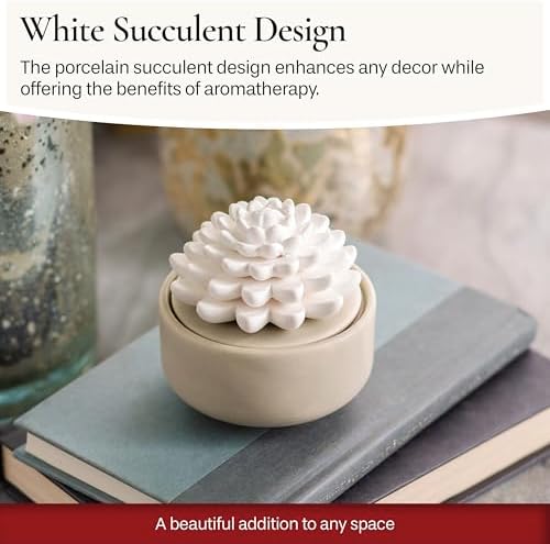 Airomé White Succulent, Porcelain Passive Essential Oil Diffuser (with 15ml Peppermint Essential Oil) – Non-Electric, Battery-Free, Improves Sleep, and Relieves Stress