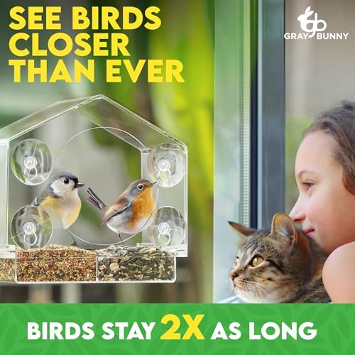 Gray Bunny Window Bird Feeder House – Suction Cup Mount Feeder