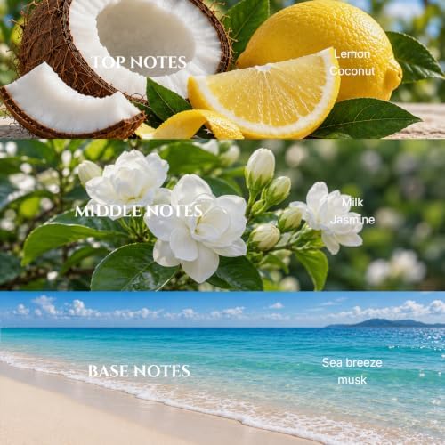 Jasmine & Coconut Diffuser Oil Inspired by Luxury Hotel Scent, 100 mL
