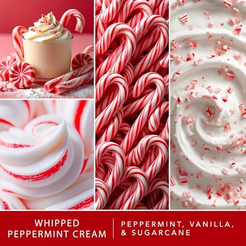 ScentSationals Happy Holidays - Christmas Wax Melts Variety Pack