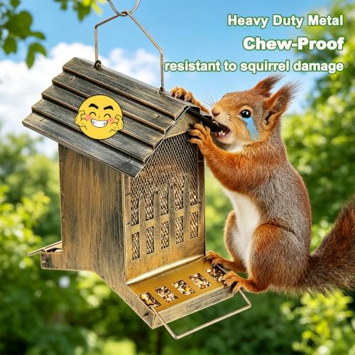 Large Metal Bird Feeder House Outdoor Hanging 2-Side Feeding 6 Lbs Capacity