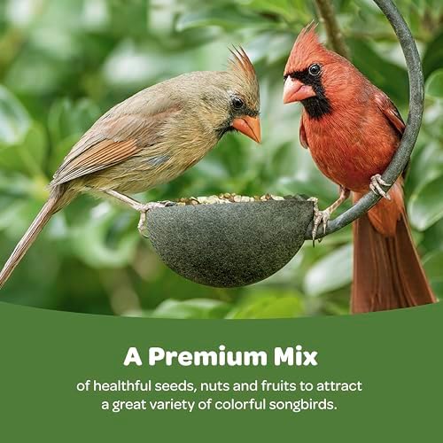 Kaytee Ultimate Nut and Fruit, Wild Bird Seed, 9.75 Pounds