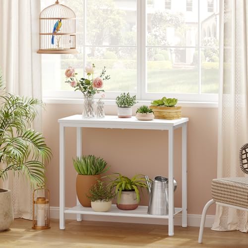 Hoctieon 2 Tier End Table, Sofa Side Table, Narrow Side Table with Storage, Slim Nightstand for Small Spaces, Metal Frame, for Living Room, Bedroom, Sofa Couch, Hall, White