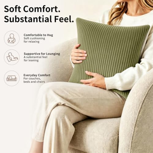 2 Pack 18 x 18 Decorative Throw Pillows with Insert Included