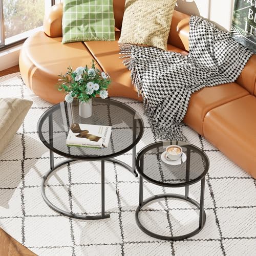 aboxoo Nesting Coffee Table Grey Glass Table Set of 2, Small Round Glass Nesting Tables for Living Room Bedroom, Accent Tea Table with Metal Frame Modern Industrial Simple