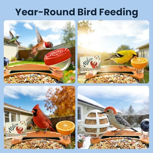 DIY Bird Feeder Add-Ons for WLNYUGS Bird Feeder Camera