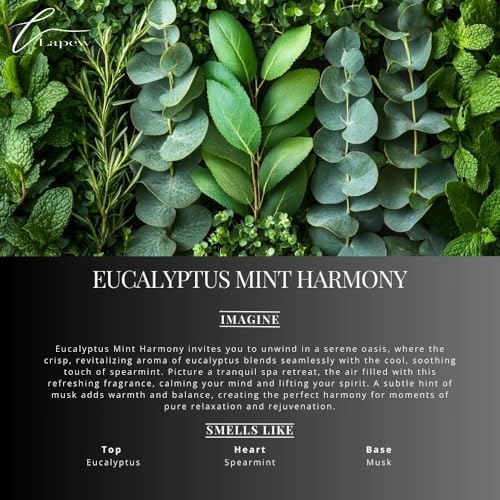 Lapew Eucalyptus Mint Harmony Waterless Diffuser Oil | Fragrance Oil for Nebulizer & Cold Air Diffusers | Scented Home Oil | 0.34 fl oz