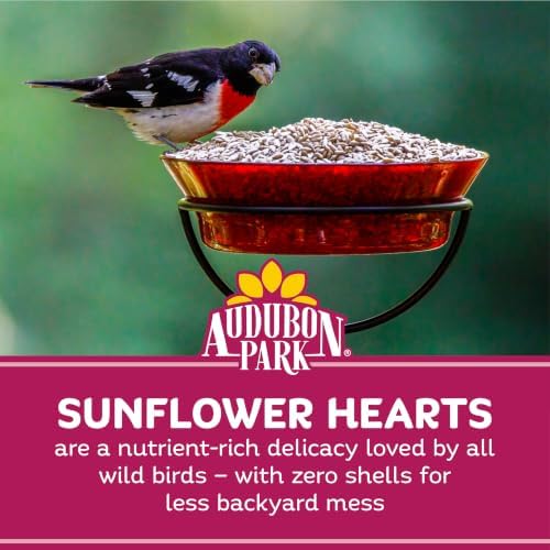 Audubon Park Sunflower Hearts Wild Bird Seed, 10 lb.