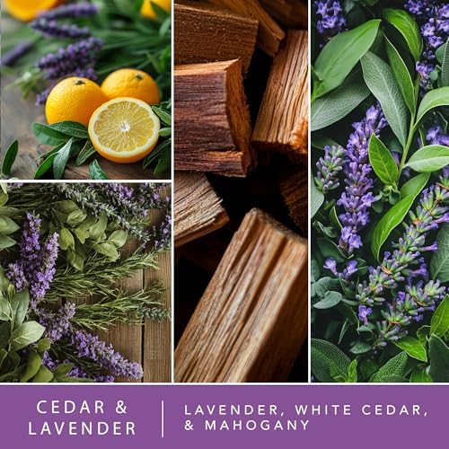 ScentSationals Cedar & Lavender Water-Based Reed Diffuser - 5 FL OZ