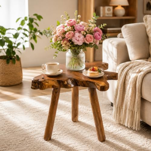 Teak Side Table, Live Edge End Table, Solid Wood Side Table for Living Room, Bedroom, Patio, Plant Stand, Tree Stump Style Natural Wood Accent Table