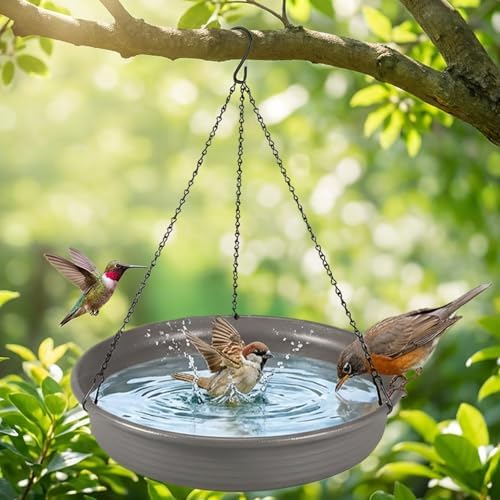 CARGEN Hanging Bird Bath Bird Feeder - 11.8inch Water Feeder Tray Outdoor