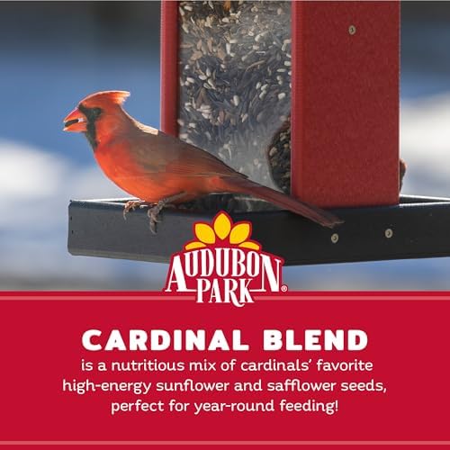 Audubon Park Cardinal Wild Bird Seed, 8 lb