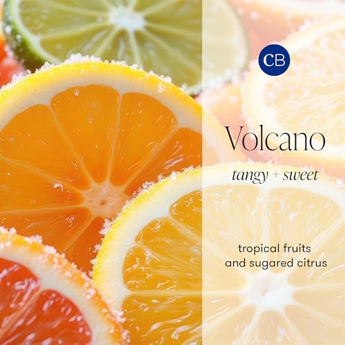 Capri Blue Muse Reed Oil Diffuser - Comes with Diffuser Sticks, Oil, and Glass Bottle - Aromatherapy Diffuser - 7.8 Fl Oz - Volcano