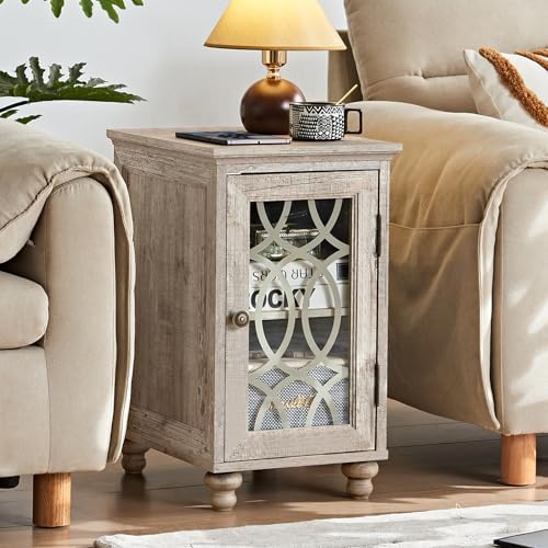 Joaxswe Narrow Side Table with Glass Door Storage