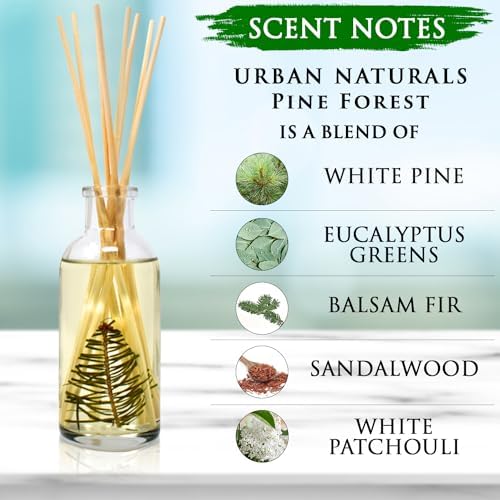 Urban Naturals Reed Diffuser Set, Pine Forest - Bathroom Shelf Décor