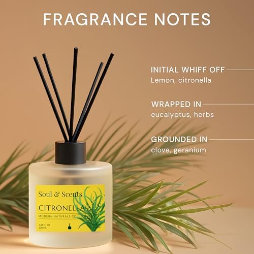 Soul & Scents Reed Diffuser Set – Citronella | 7.43 oz Refillable Scented Oil with 6 Fiber Sticks | Long-Lasting Home Fragrance & Air Freshener for Bedroom, Bathroom, Office | Gift & Décor Piece