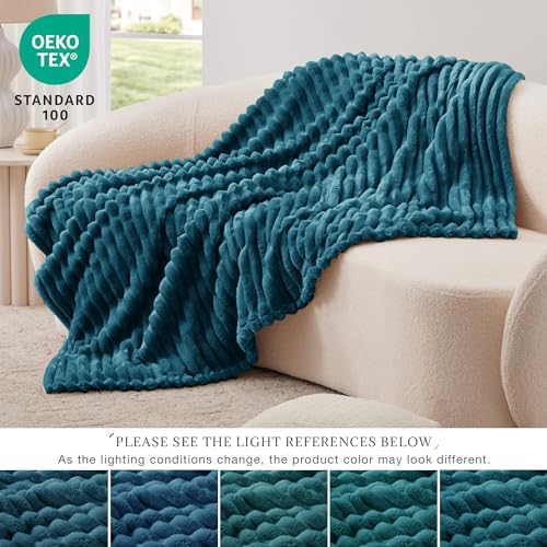 EXQ Home Stripe Twin Size Throw Blanket Teal for Couch Gentle Soft
